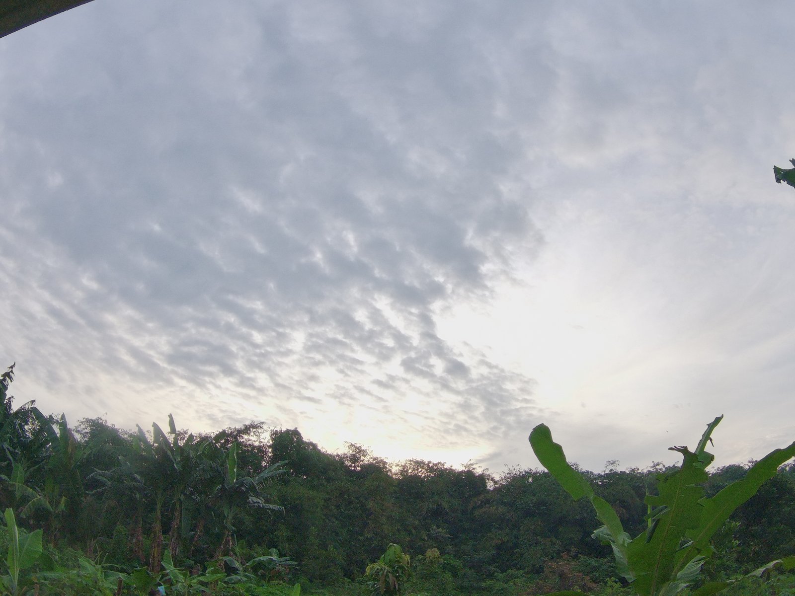 Canopy Rumah Minimalis